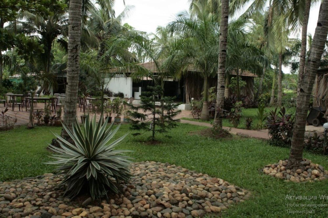 Картинка Palm Resort 2*